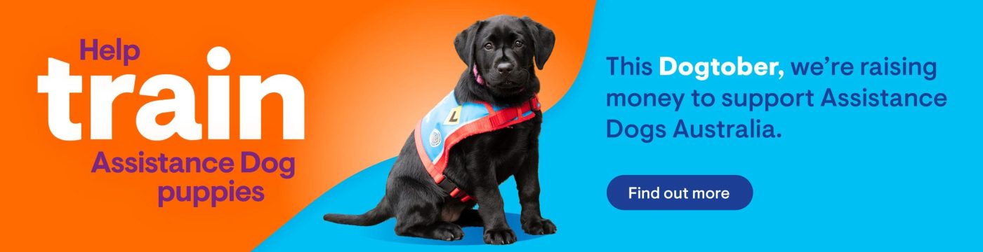 158057-DDS-Dogtober25-Web-1400x360px