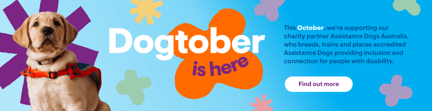 162-10006-DDS-CAB-Oct26-Banner-HP7-1400x360